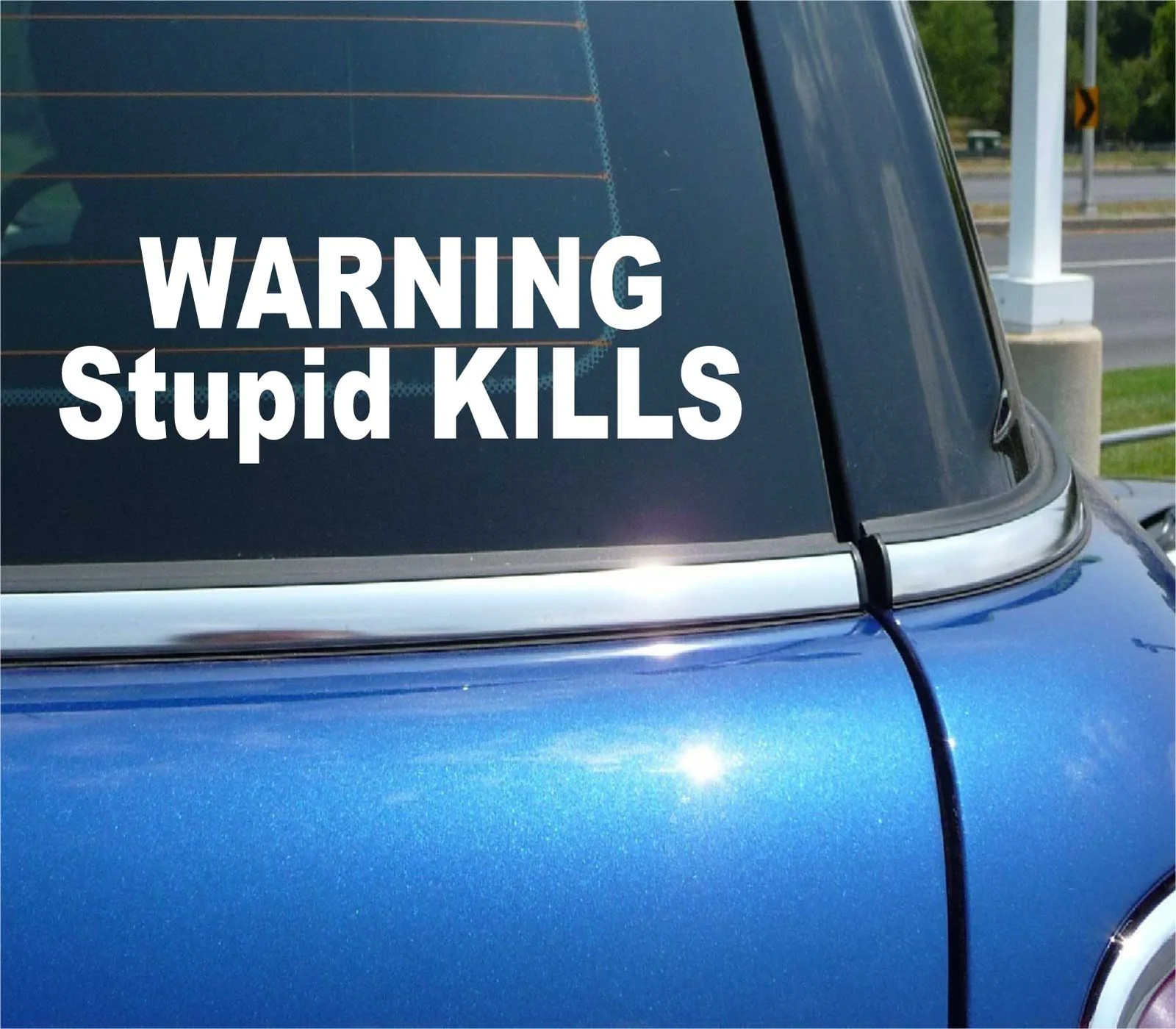 WARNING STUPID KILLS DANGER FUNNY DECAL STICKER ART CAR WALL DECOR