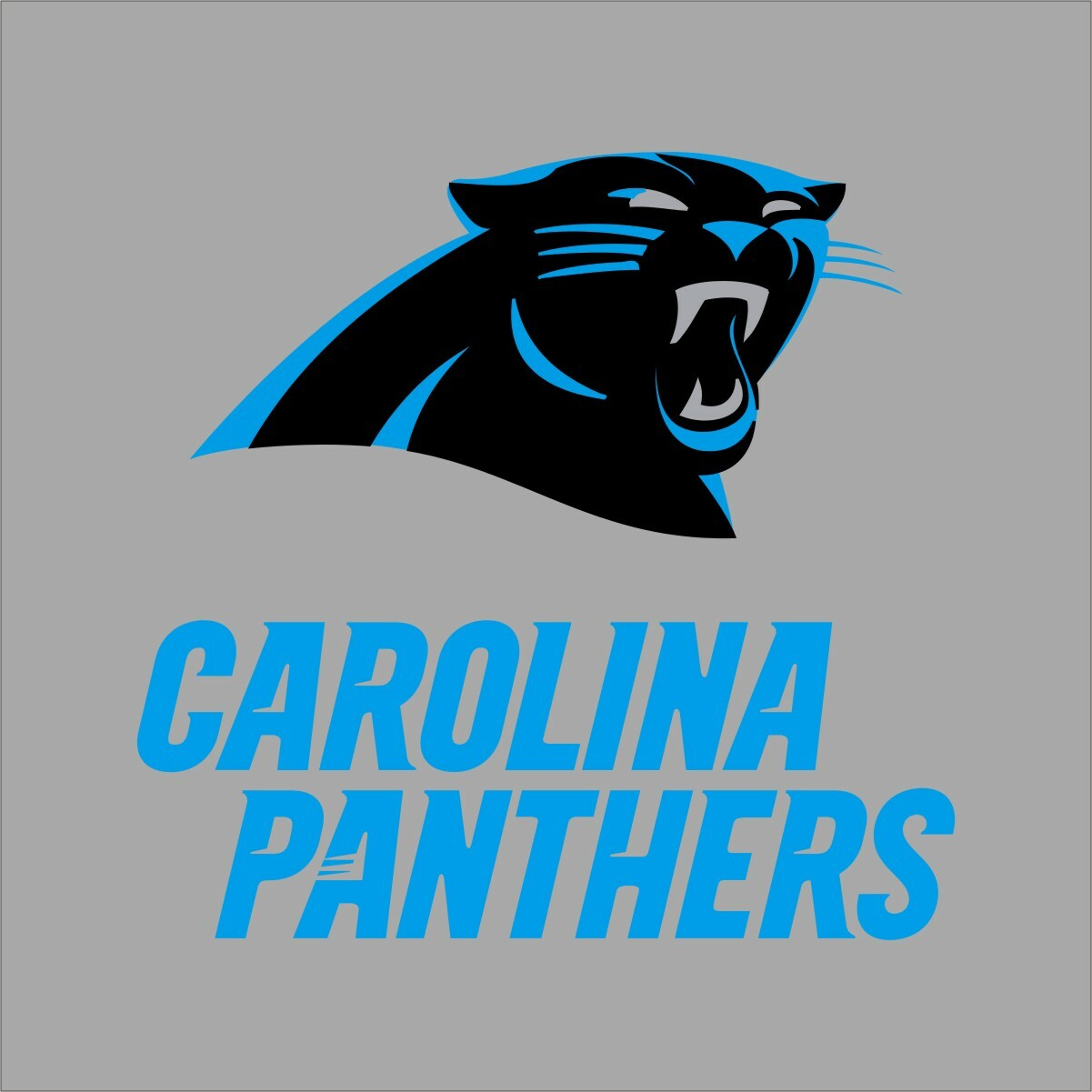 Carolina Panthers #6 NFL Team Pro Sports Vinyl Sticker Decal Car Window Wall