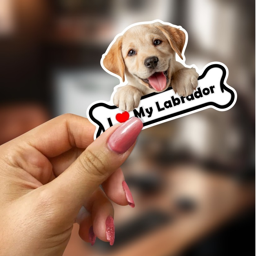 I Love my Labrador, Sticker, Peel N' Stick, Different Sizes