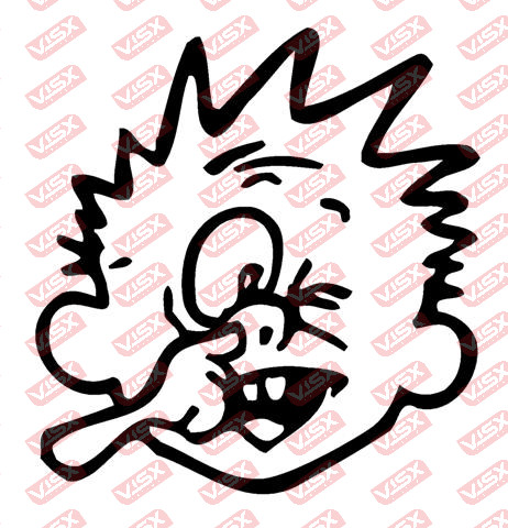Calvin And Hobbes funny Comic Decal Vinyl Art Bumper Laptop Cartoon Decor Gift