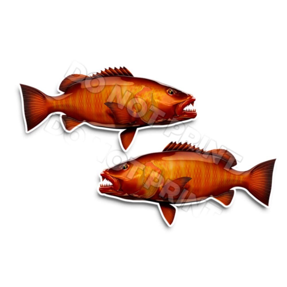 Cubera Snapper Decals Fish Stickers Tackle Box RV Truck Trailer Camping AFP-0176