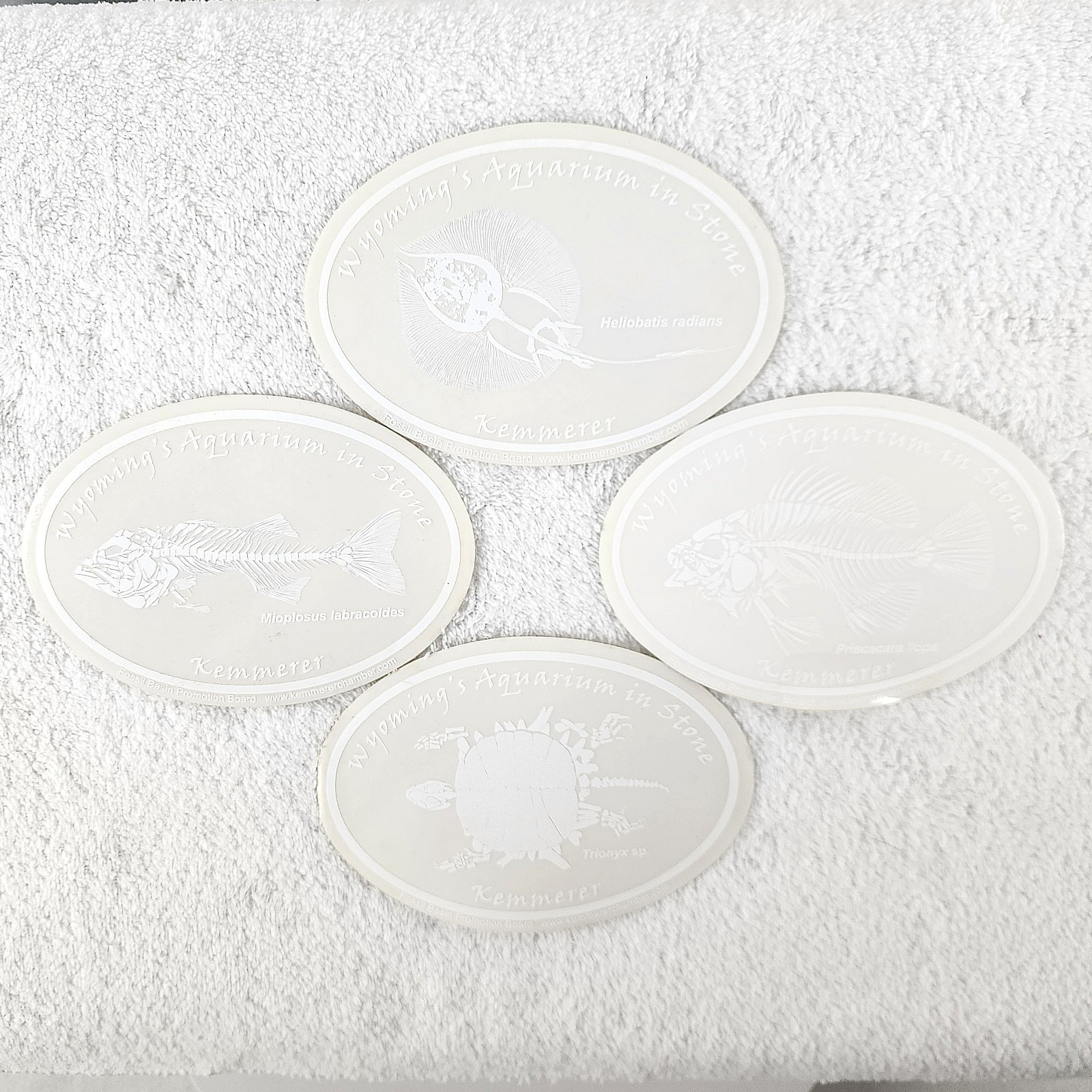 Fossil Butte National Monument WY An Aquarium in Stone Kemmerer Decals CLEAR/WHT