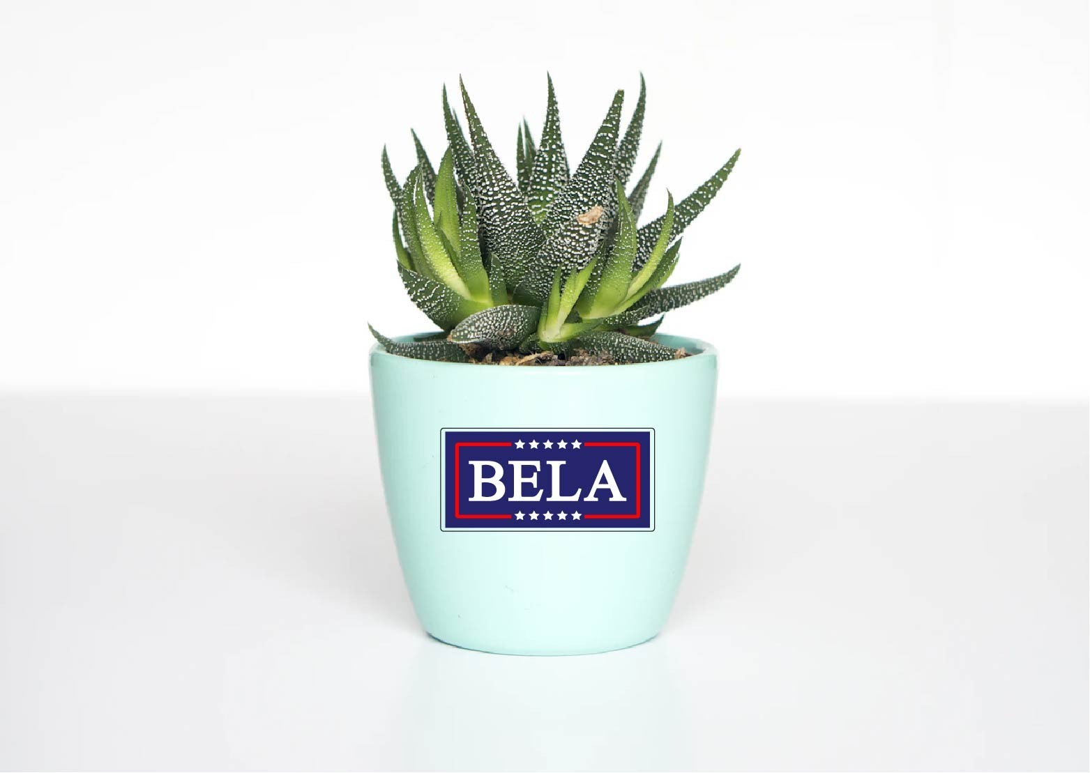 Bela Trump Post Decal Sticker Political Social Media Posting MAGA Trend Meme lol
