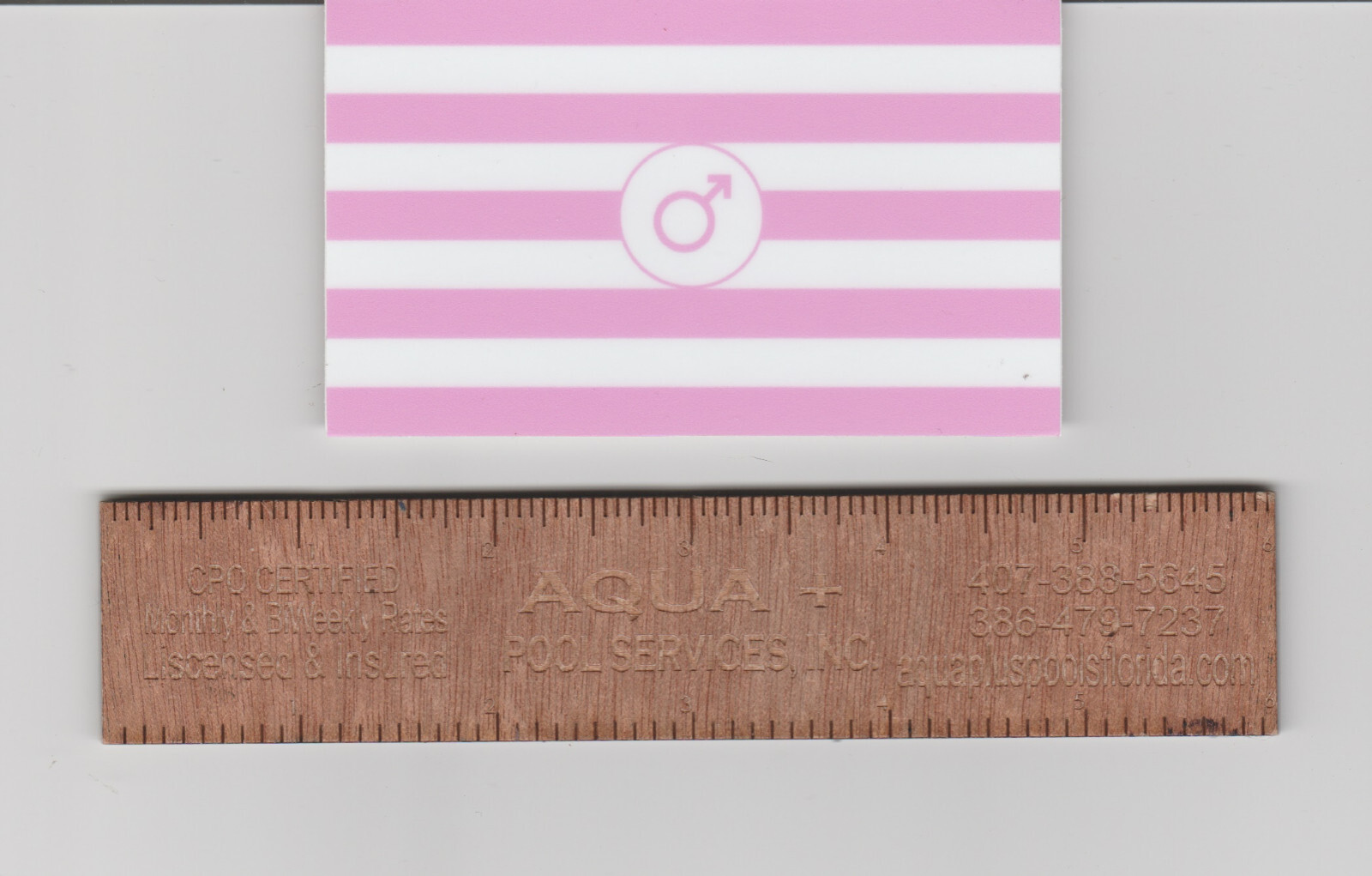 Sissy Pride Flag Sticker/Decal (Transgender, LGBTQ) 3.75" x 2.25"