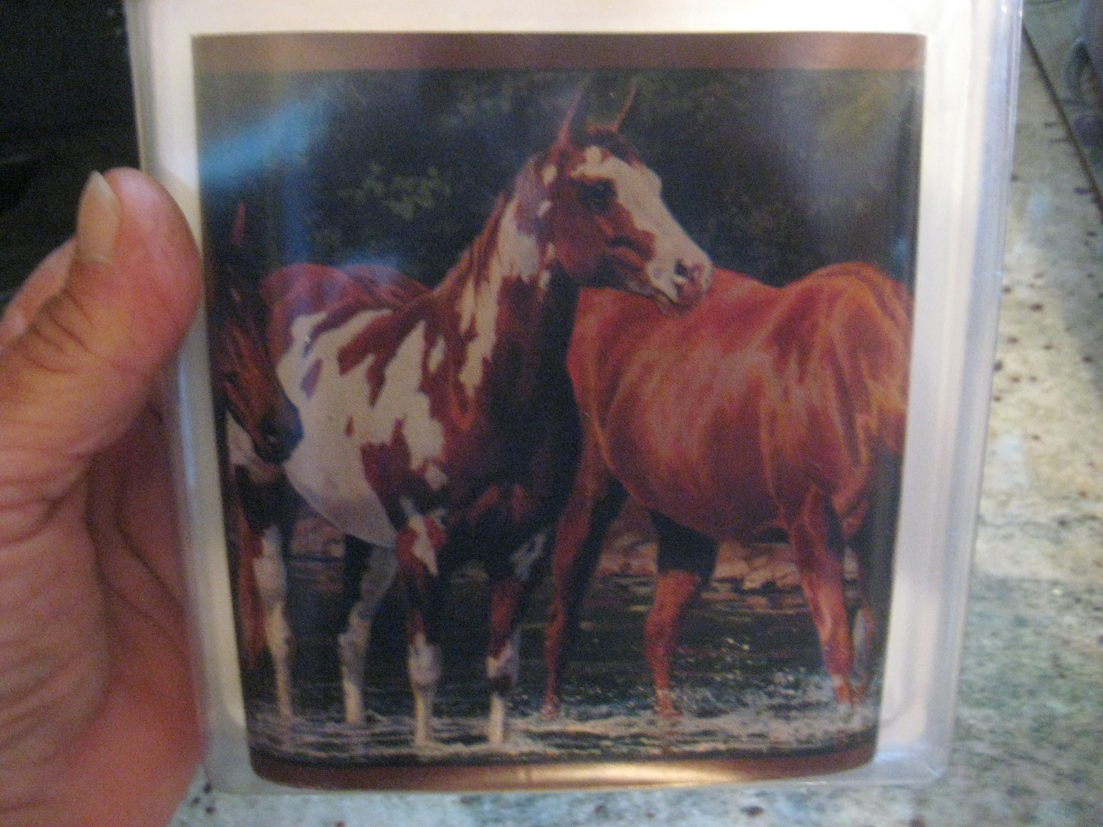 Horse Wall Decor Room Mates Kids Equestrian Decals Peel Stick BORDER