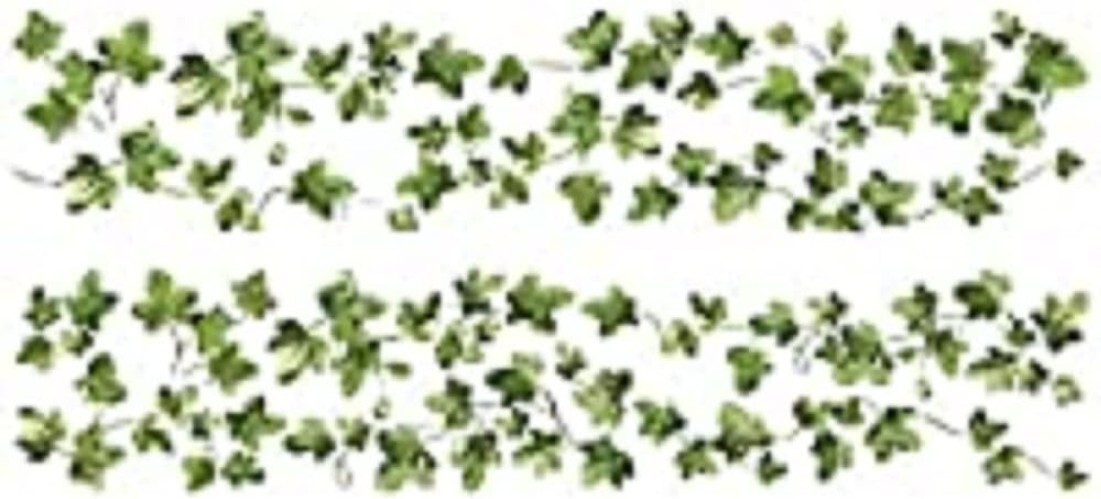 Reusable Peel and Stick Ivy Vine Wall Decals – Easy Install Botanical Decor