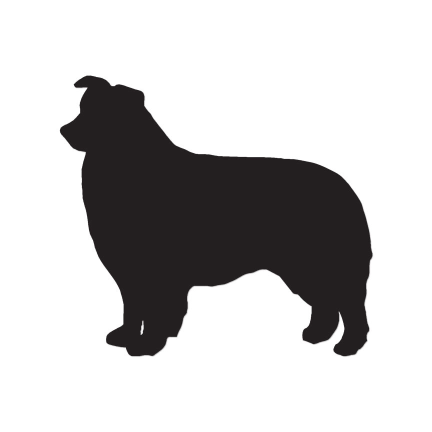 Border Collie Dog – Vinyl Decal Sticker – Multiple Color & Sizes – ebn1924