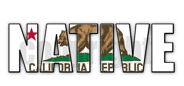 California Native Flag Stickers Flag Decals Vinyl Indoor Outdoor Stickers
