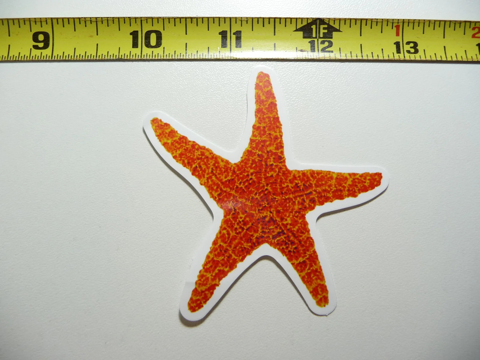 HAWAII STARFISH SMALL STICKER DECAL 50TH STATE PARADISE VACATION TRAVEL ISLAND