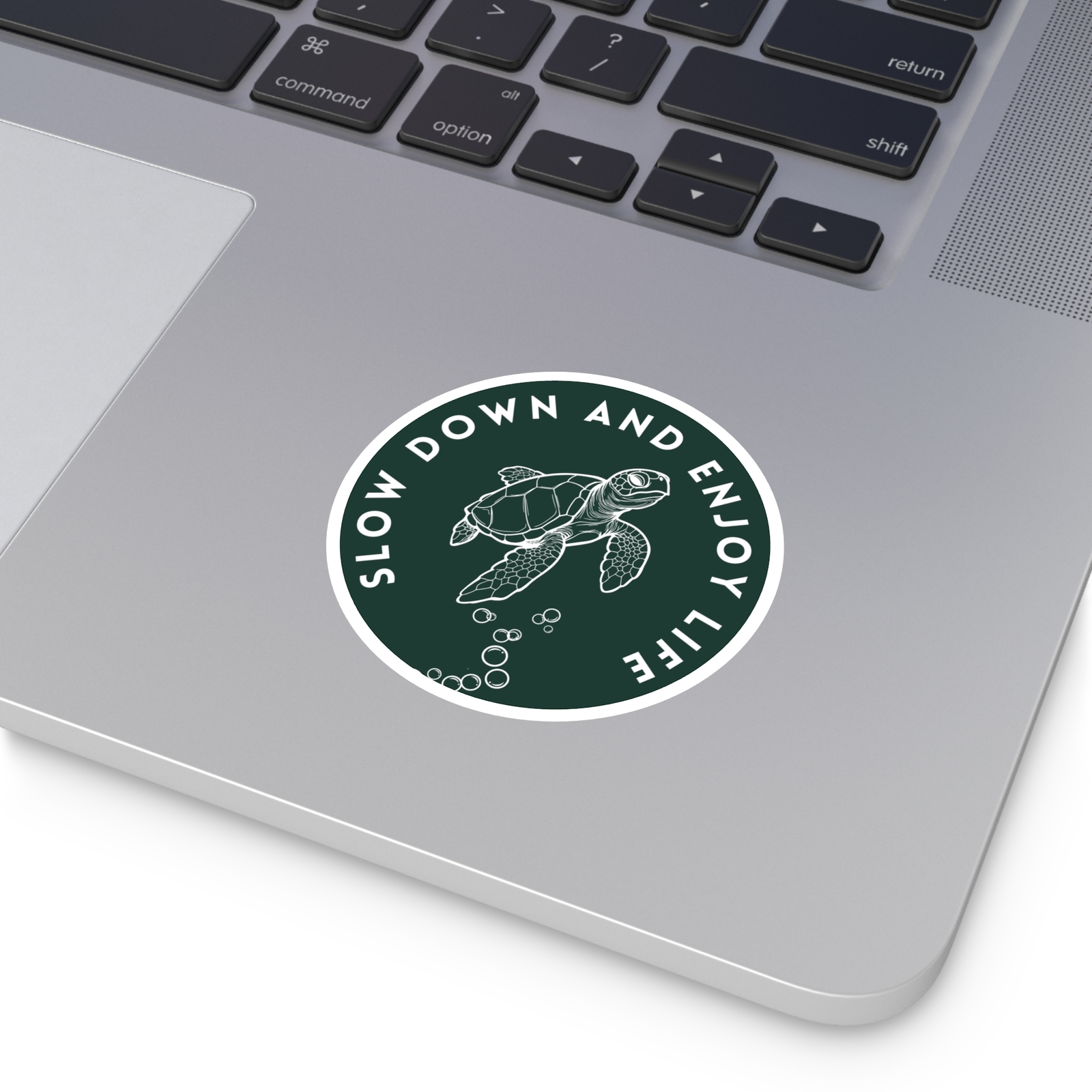 Slow Down and Enjoy Life Turtle Sticker Indoor Outdoor Turtle Quotes Sticker