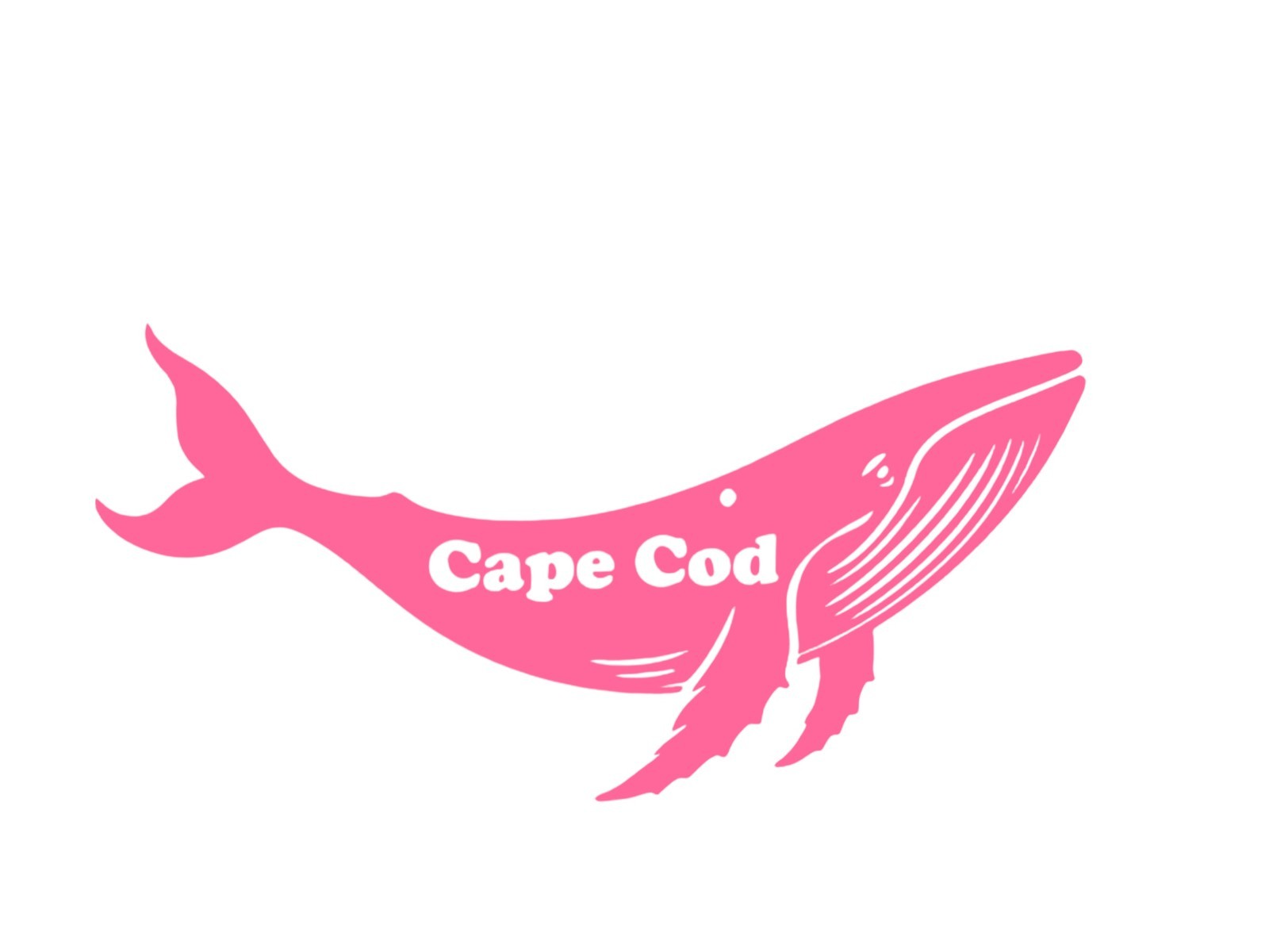 Humpback Whale Cape Cod Decal for car Windows Laptops Smooth Surfaces