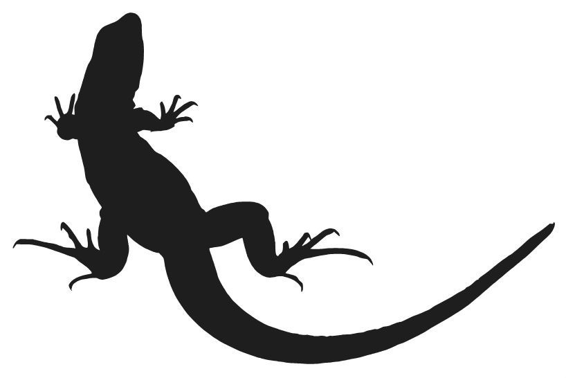 LIZARD SILHOUETTE STICKER GEKKO REPTILE LOVE FUN CHOOSE COLOR