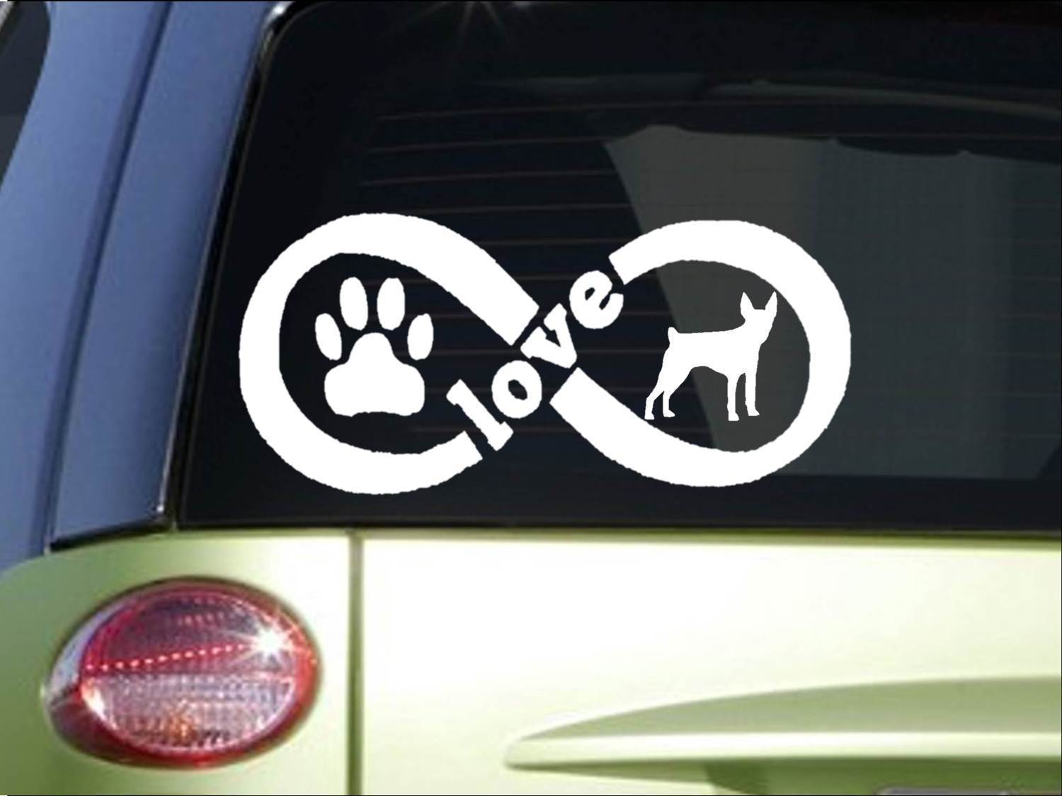Rat Terrier Infinity sticker *H426* 4 x 8.5 inch dog decal