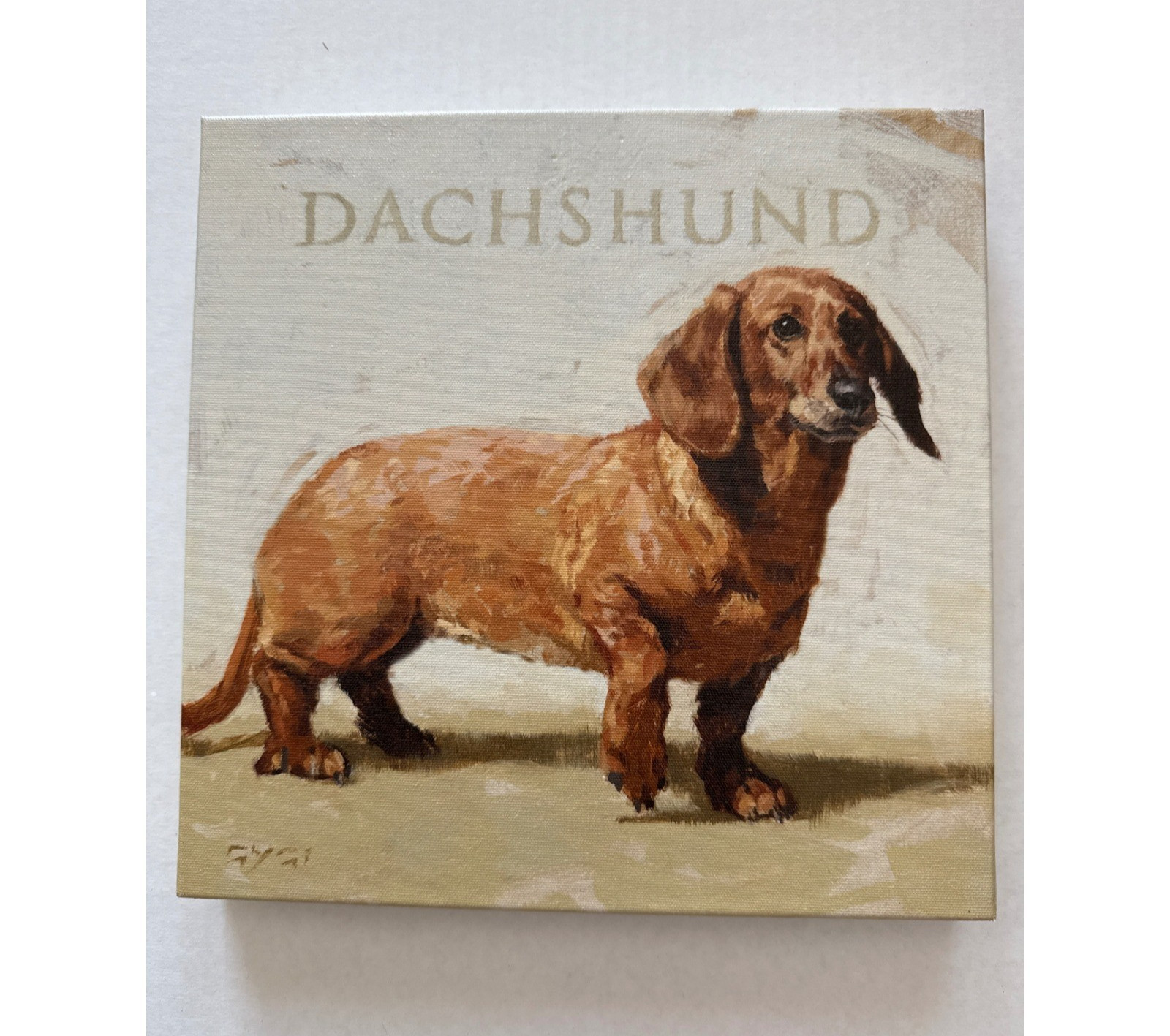 Dachshund 9"x 9" Wrapped Canvas Wall Hanging/Shelf Sitter Made in USA
