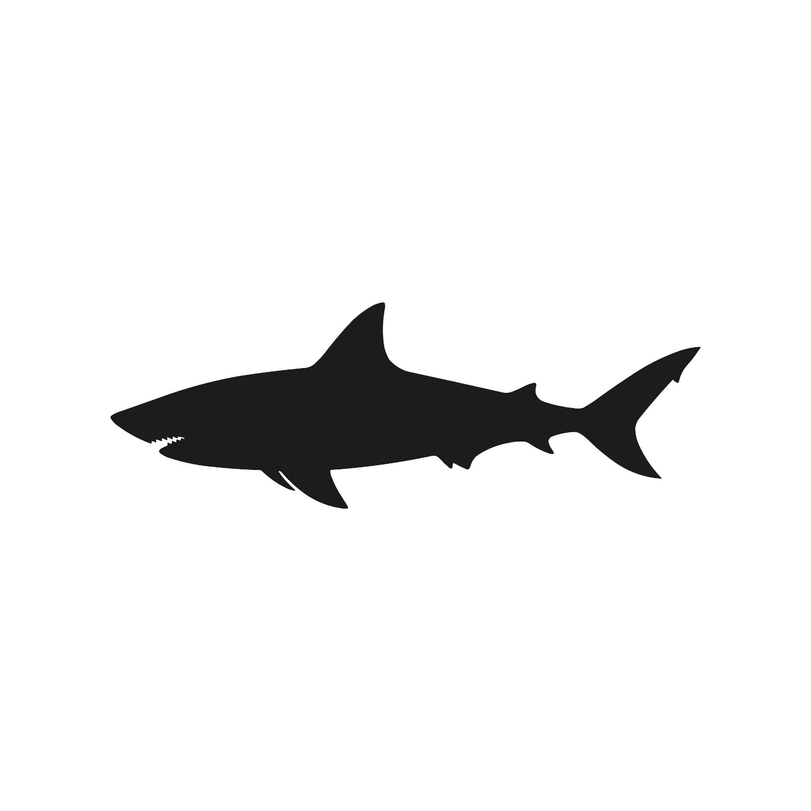 Great White Shark Vinyl Sticker Decal Carcharodons Shark outline