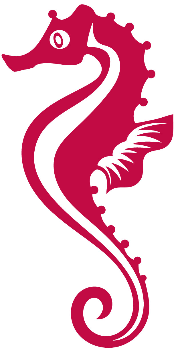 Sea Horse Decal Multicolor Made In USA