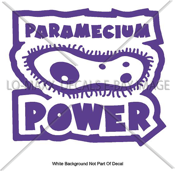 Paramecium Power One Celled Organism Art One Of A Kind Die-Cut Vinyl Decal