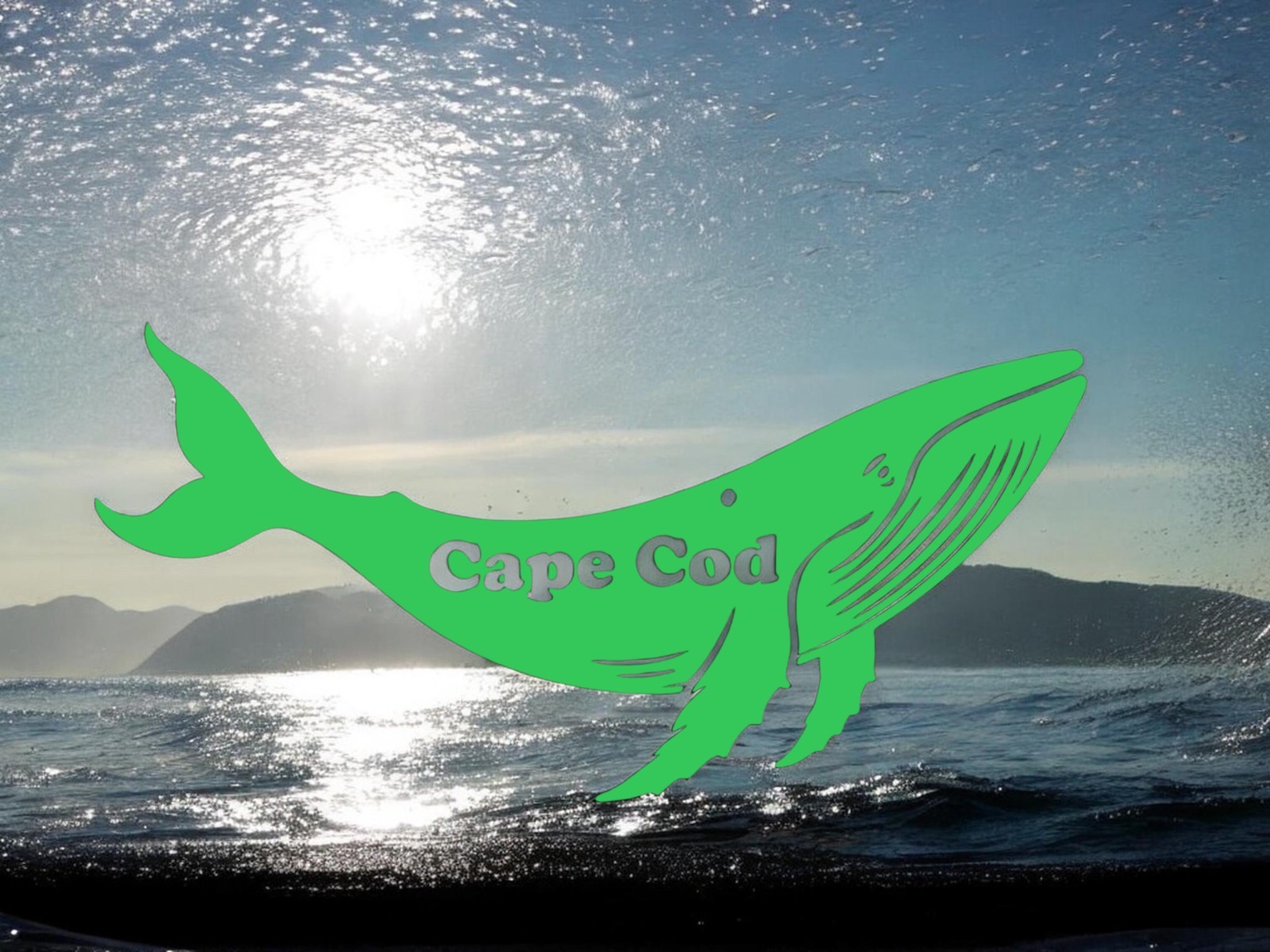Humpback Whale Cape Cod Decal for car Windows Laptops Smooth Surfaces