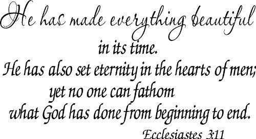 Ecclesiastes 3:11 Bible Verse Vinyl Wall Decal by Scripture Wall Art 11 x 22