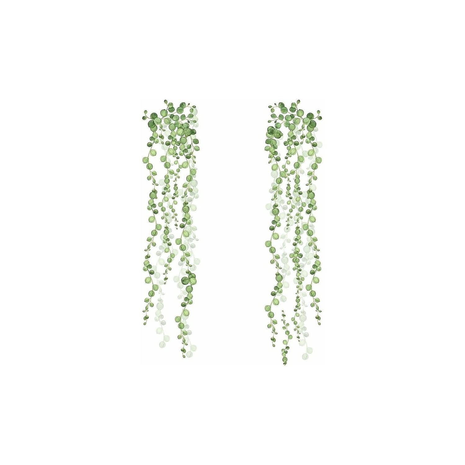 RMK3903SCS String of Pearls Succulent Vine Peel and Stick Wall Decals