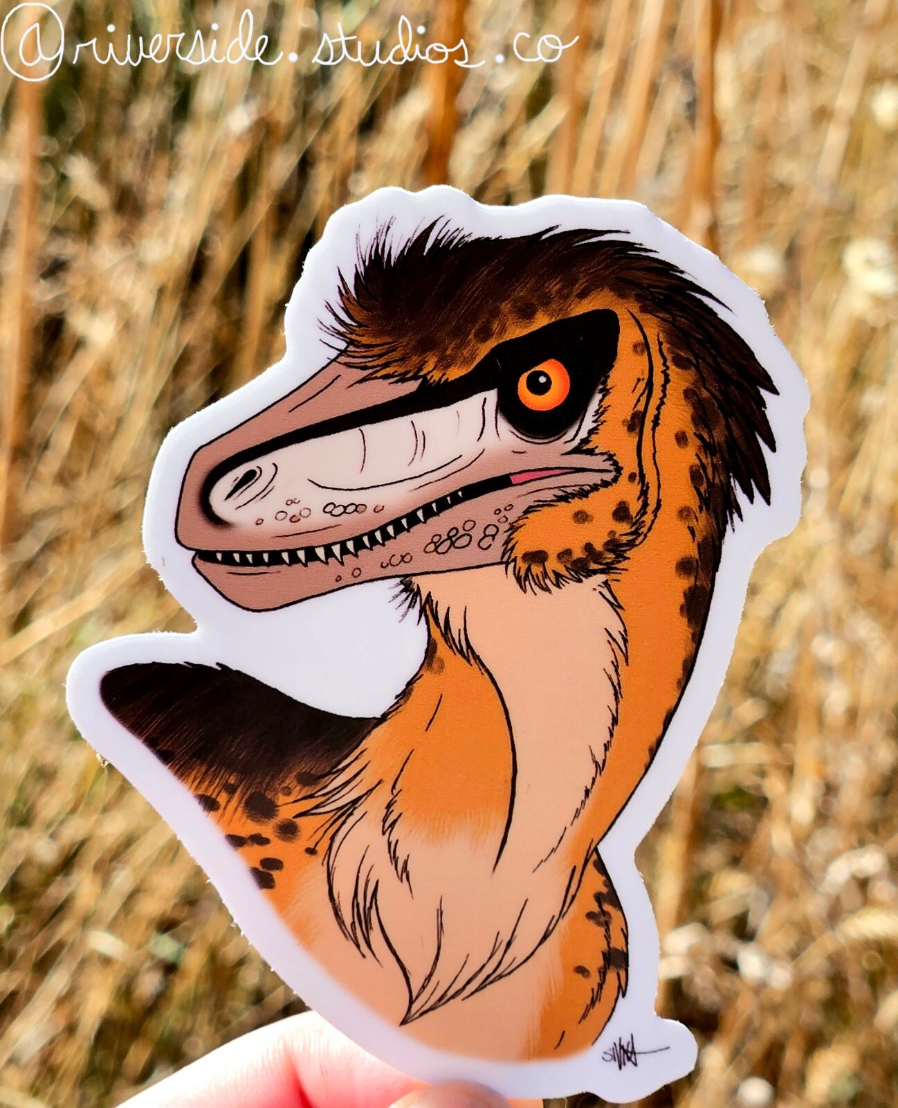 Dakotaraptor Vinyl Sticker 3" Original Paleoart Dinosaur Jurassic Park