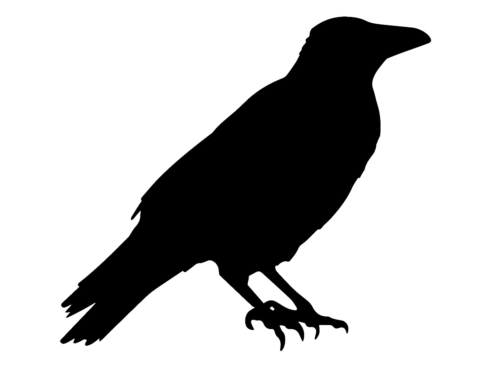 Crow Silhouette Vinyl Decal Car Tumbler Sticker Waterproof