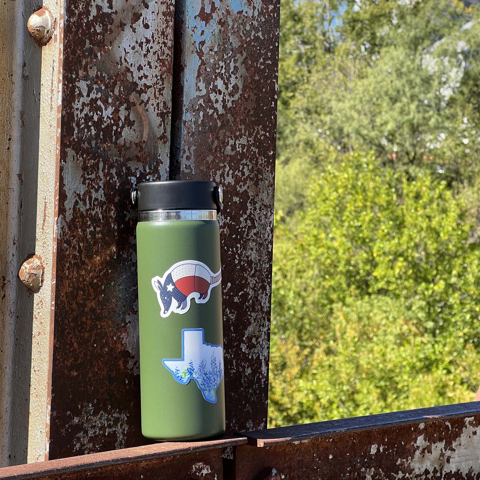 Texas Armadillo Sticker