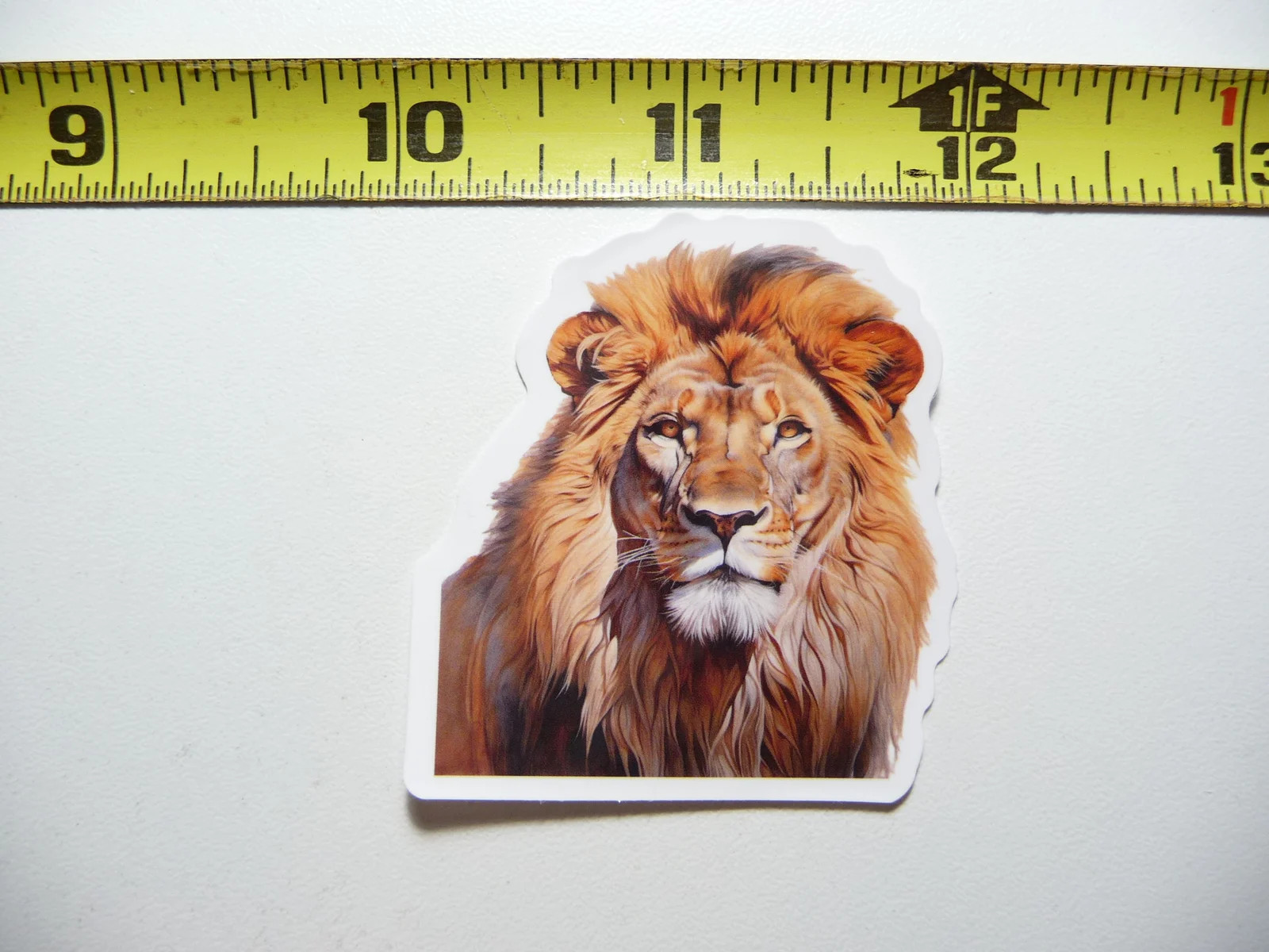 HANDSOME LION HEAD SMALL STICKER DECAL WILDLIFE PRESERVE NATURE ANIMAL