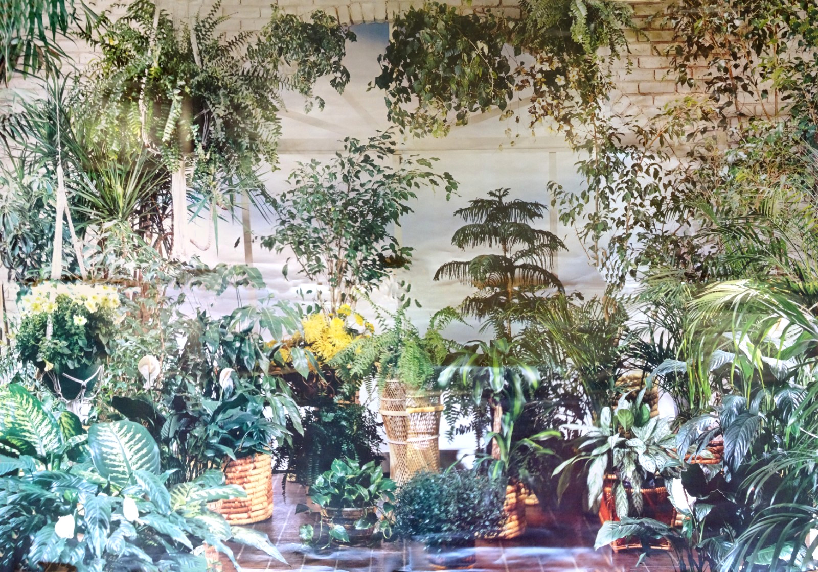 Full Wall Size Mural Tropical Plants In Front Of Huge Window 8’ 8” x 12’ 6” NOS