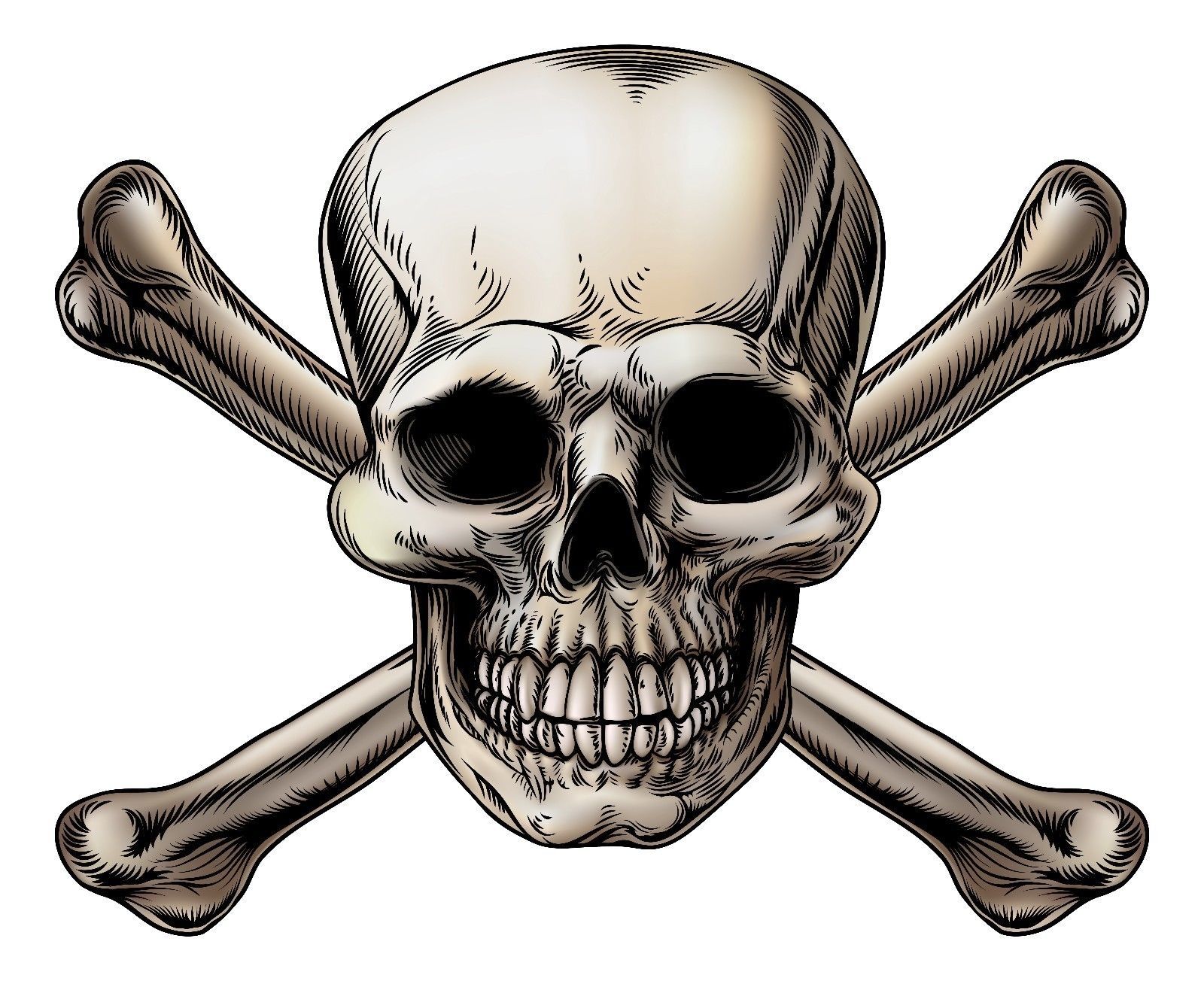 SKULL CROSSBONES VINYL 3M MADE in USA DECAL STICKER TRUCK WINDOW BUMPER WALL CAR