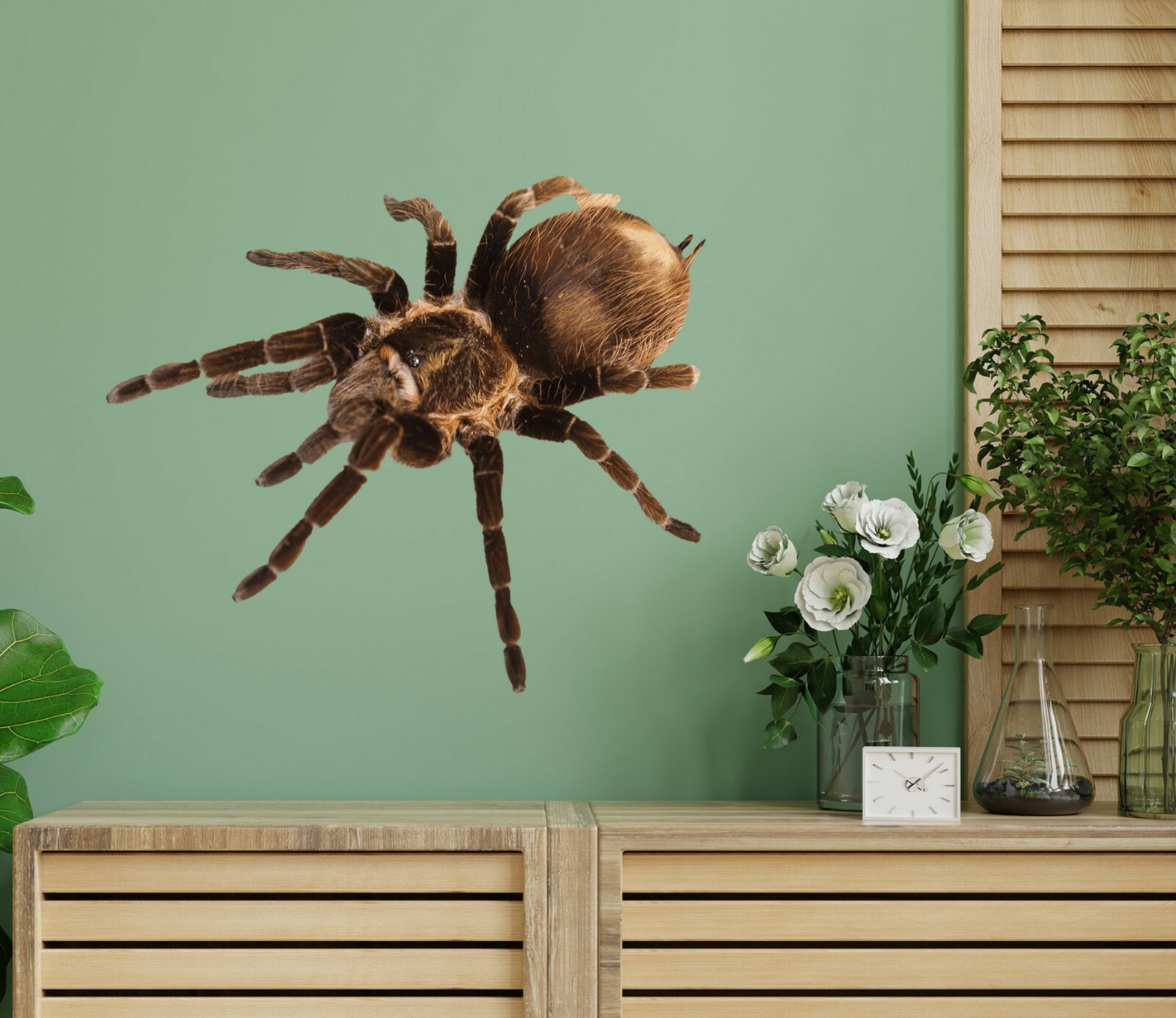 3D Hairy Spider G476 Animal Wallpaper Mural Poster Wall Stickers Decal Honey