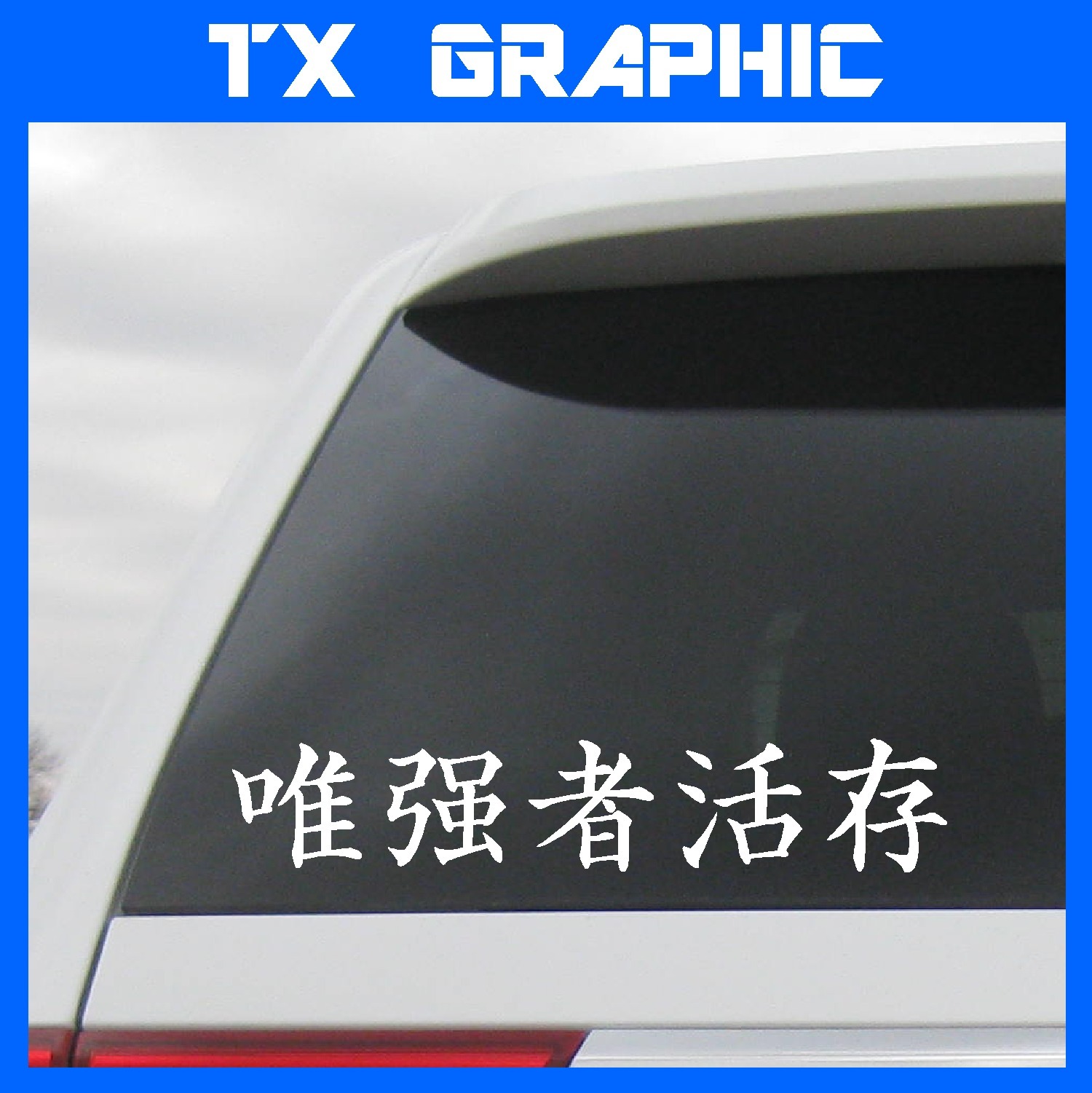 KANJI CHINESE CHARACTER STRONG SURVIVE STICKER VINYL LETTERING CUSTOM