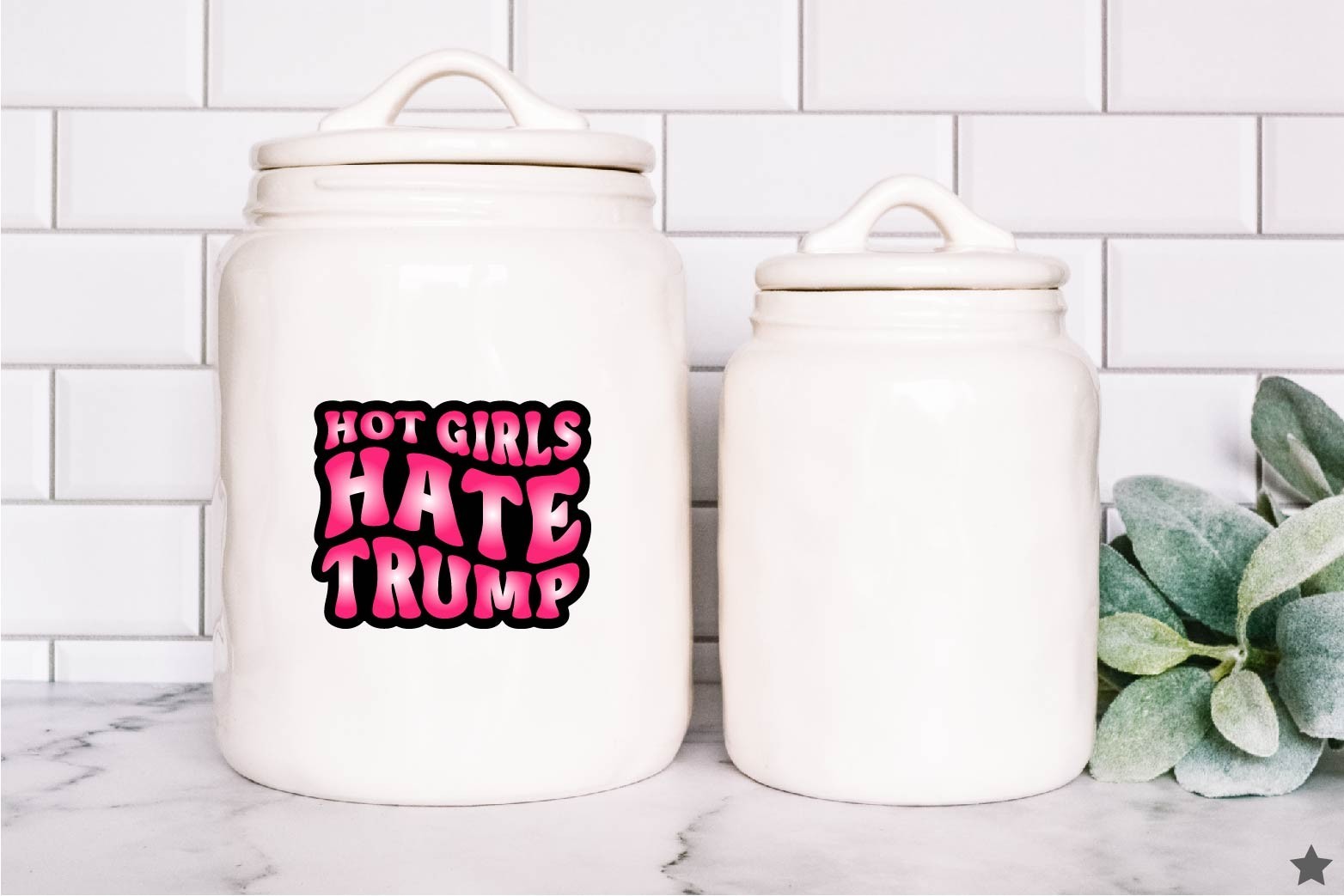 Hot Girls Hate Trump Decal Sticker Anti MAGA Political No Kings Protest Democrat