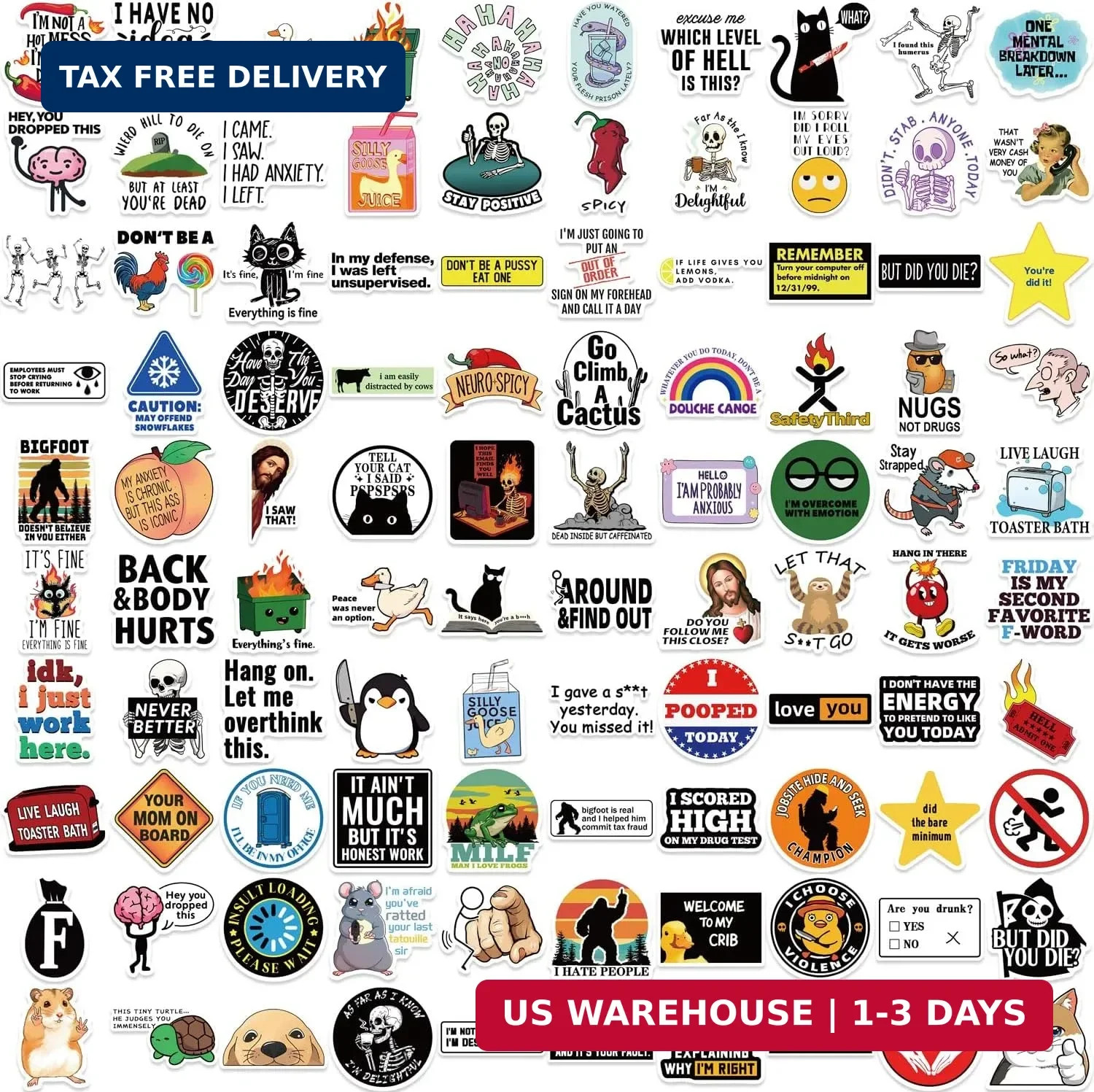 100 PCS Funny Stickers for Adults Snarky Meme Prank Meme Dirty Hilarious Sticker