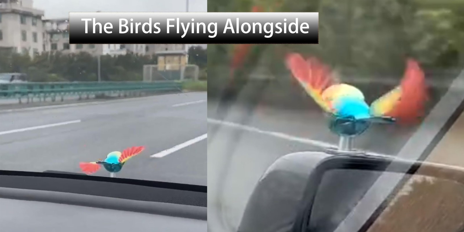 "Flying Birds Car Stickers for Hood, Roof, Mirror, Trunk – 1PCS (Red Green)"