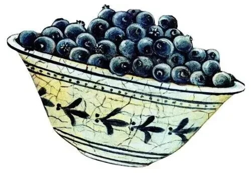 blueberry fruit bowl wall decal bowl prepasted 6 inch 1pc