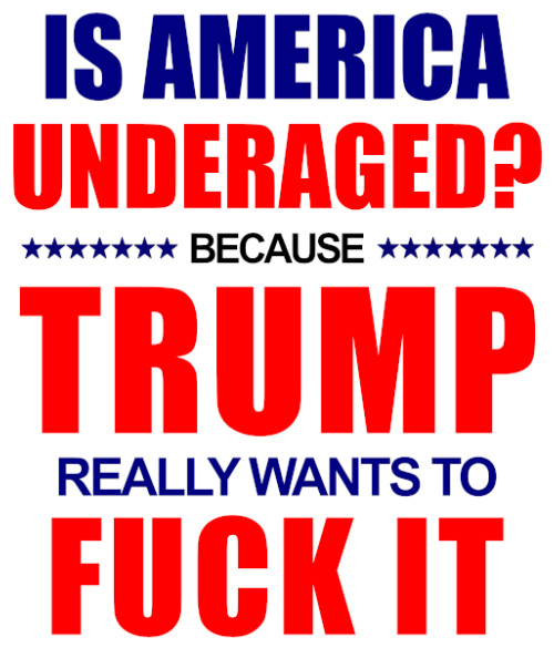6pc Kiss Cut Anti Trump Sticker Set, Durable, Waterproof, 1.5"W x 1.5"H