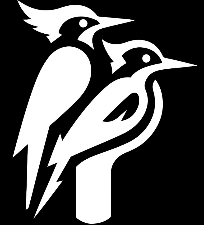 Woodpecker Pair Rendering Vinyl Decal Car Tumbler Laptop Tablet Notebook Window