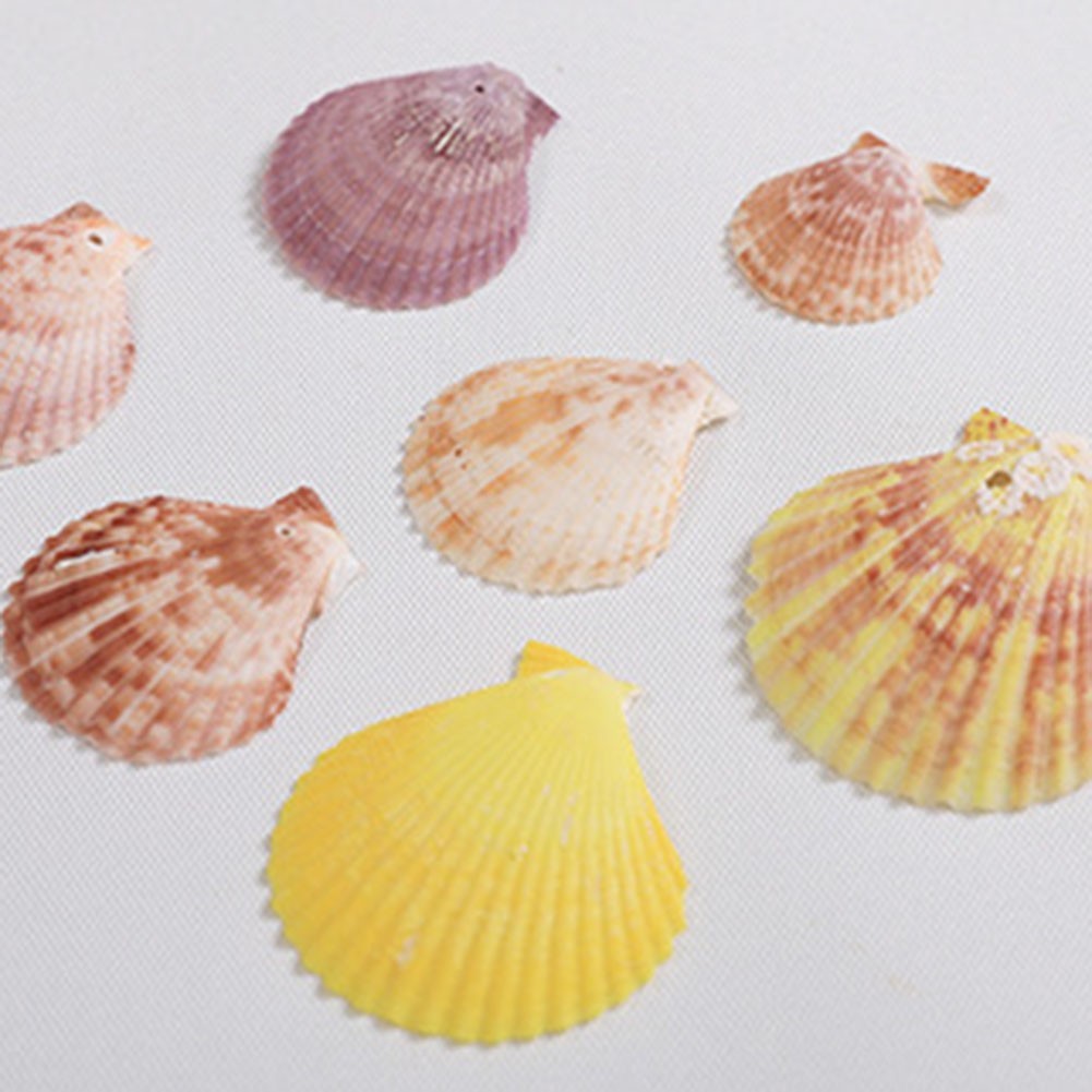 Fish Net Decoration Beautifully Handcrafted With Shells And Elegant Eco Friendly