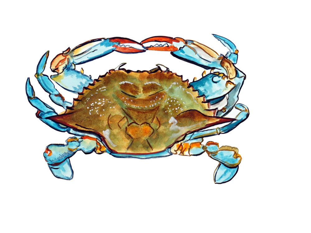 Blue Crab Overhead High Quality Printed Vinyl Decal Wall Window Car Sticker