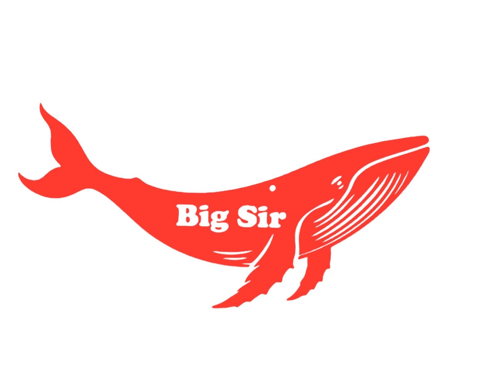 Humpback Whale Big Sir Decal for car Windows Laptops most Smooth Surfaces