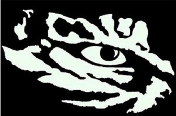 Vinyl Decal for Window – Tiger Eye, Various Colors & Sizes
