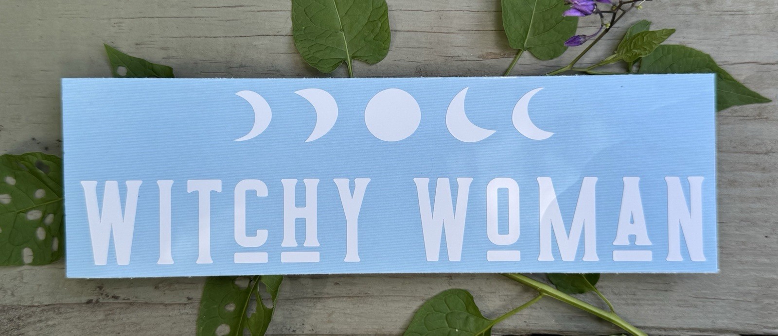Witchy Woman Decal White Matte Oracle 651 Permanent Vinyl Sticker Window Laptop