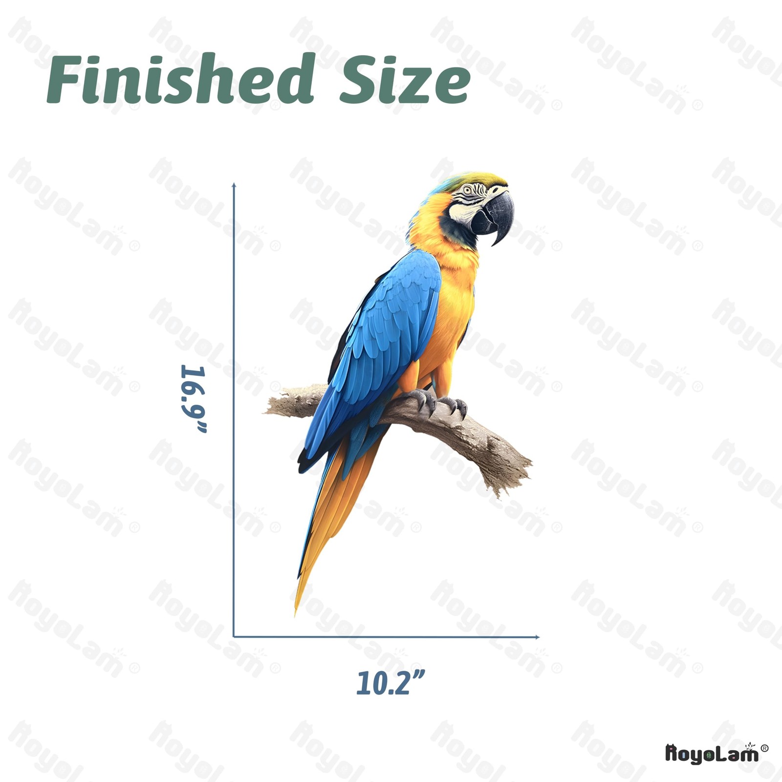 Lifelike Blue and Yellow Macaw Bird Wall Decal Nursery Bird Animal Wall Stick…