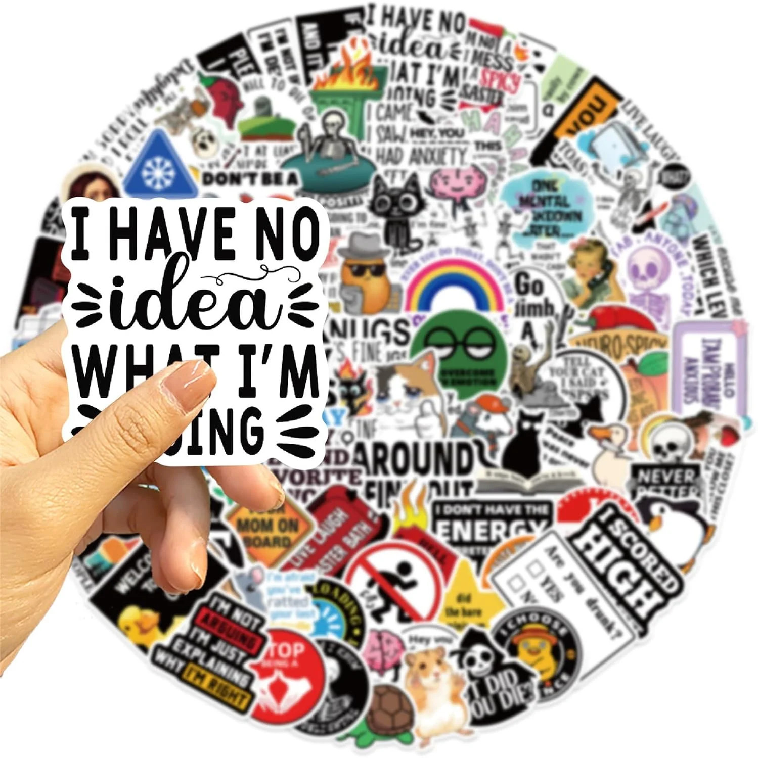 100 Pcs Funny Stickers for Adults (Dirty) Meme Water Bottles Sticker Pack Waterp