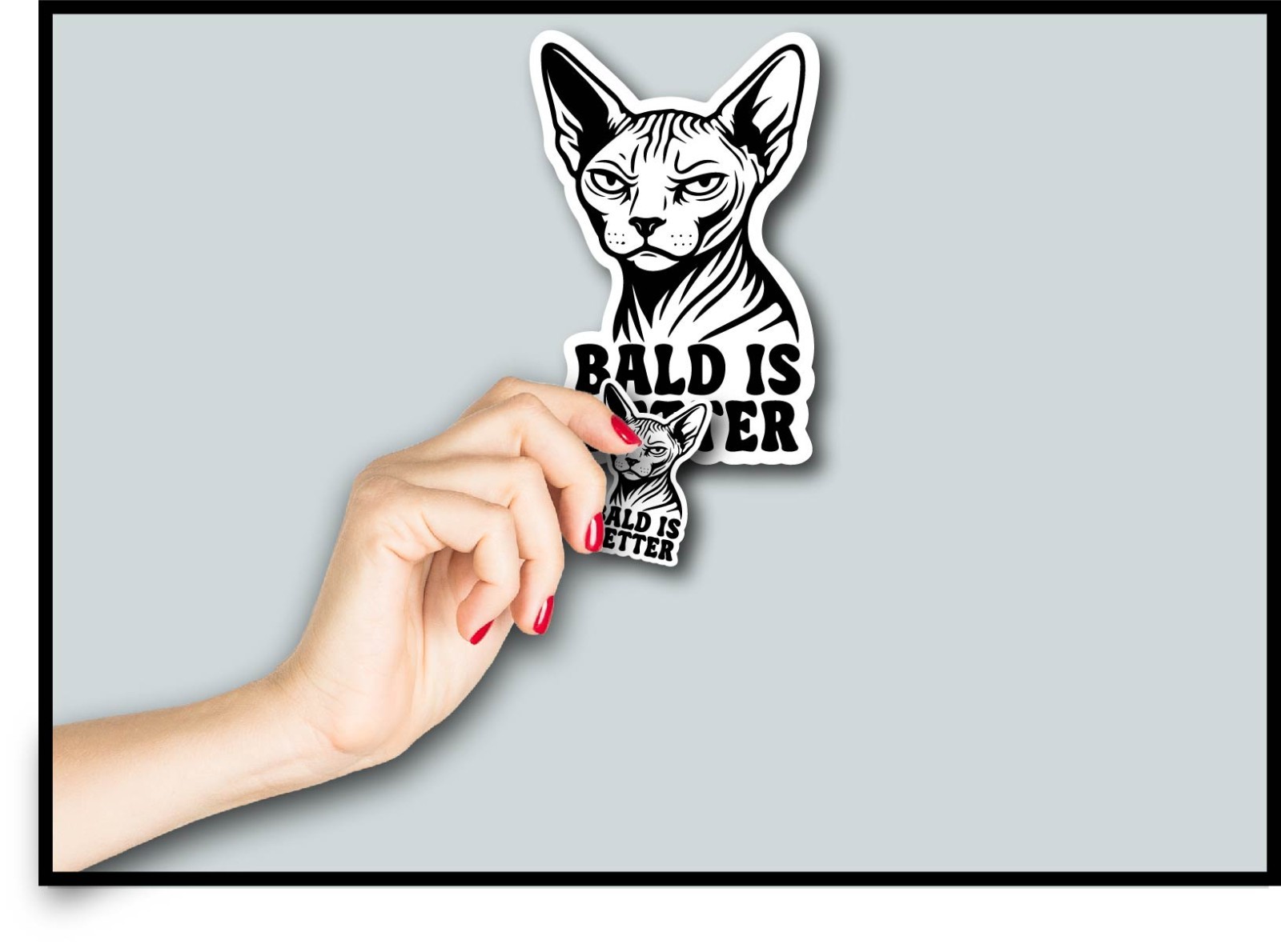 Sphynx Cat Decal Sticker Bald is Better Hairless Kitty Skin Meow Kids Gift Decor