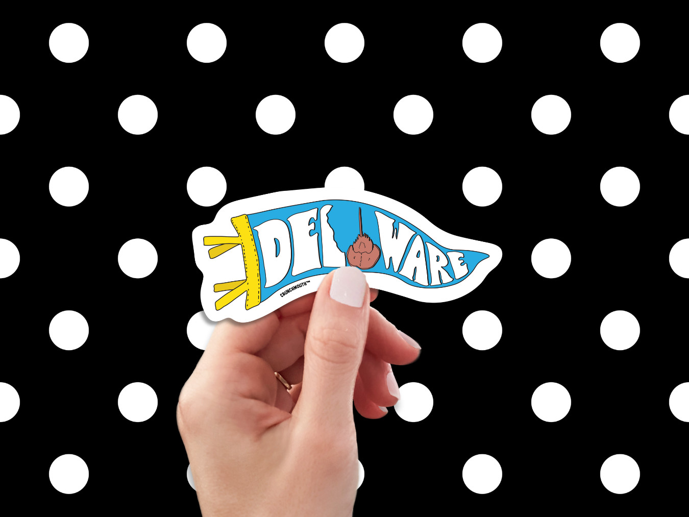 DELAWARE STATE PENNANT BANNER STICKER TRAVEL DECAL