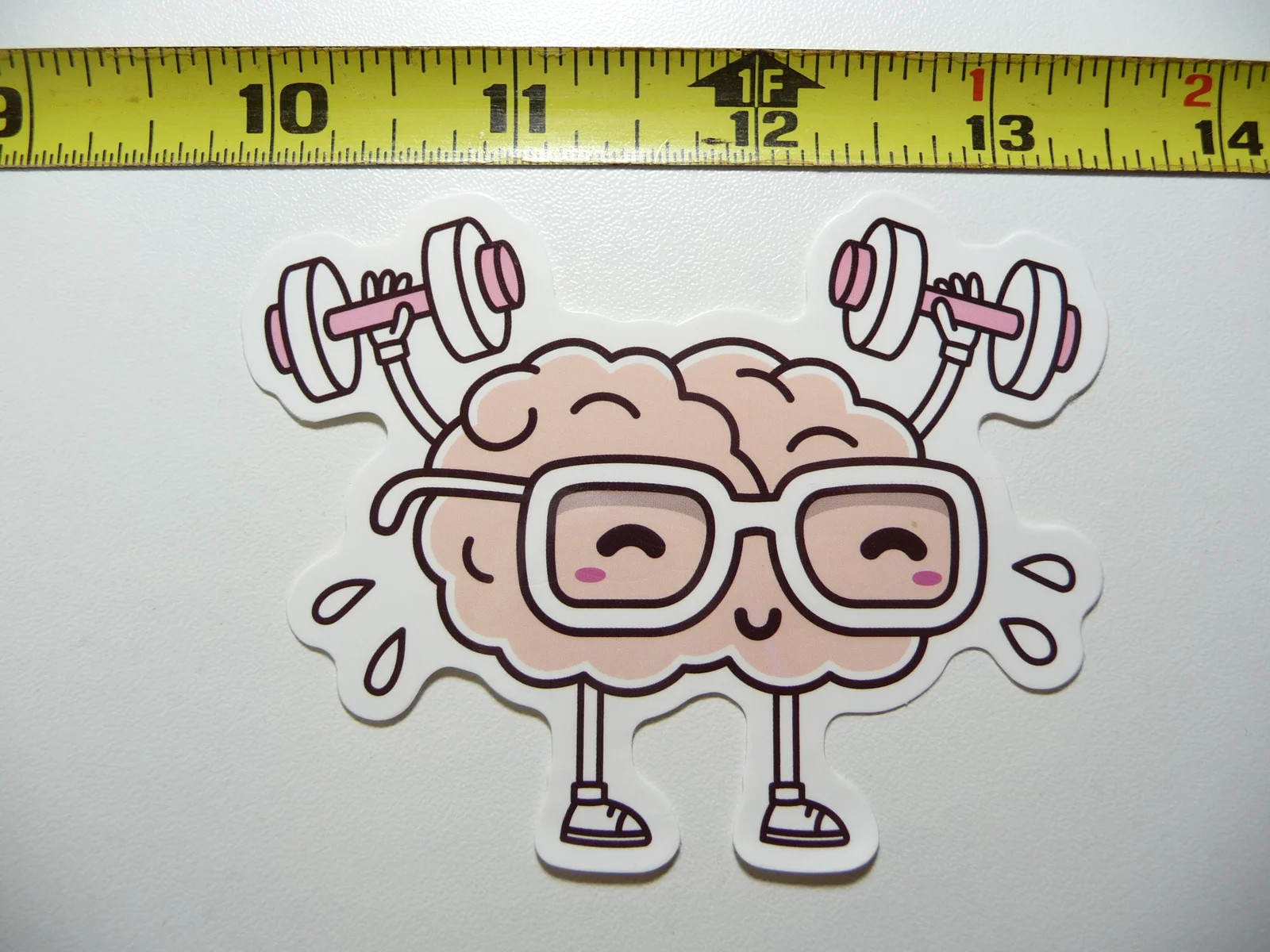 EXERCISING BRAIN WEIGHTS SMALL STICKER DECAL SCIENCE SCHOOL COLLEGE EDUCATION
