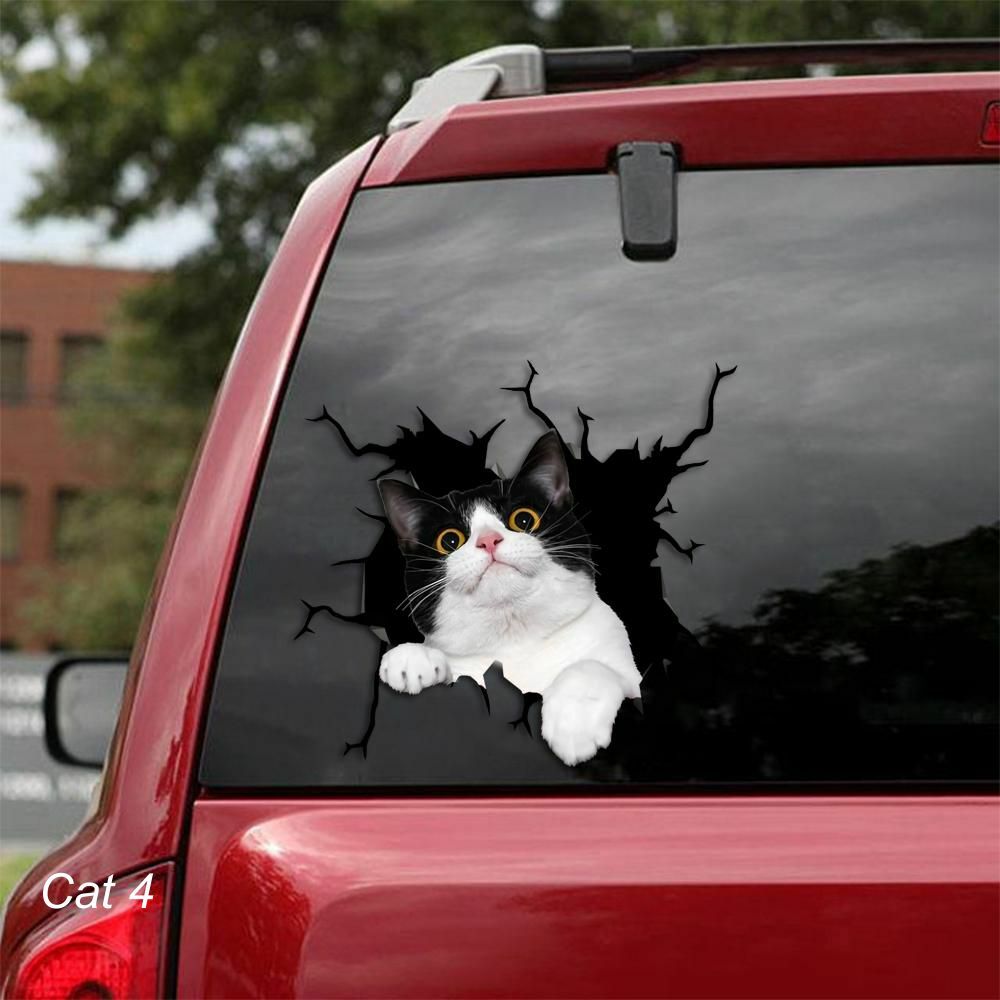 LARGE-SIZED CAR DECALS – CAT – 5 CHOICES