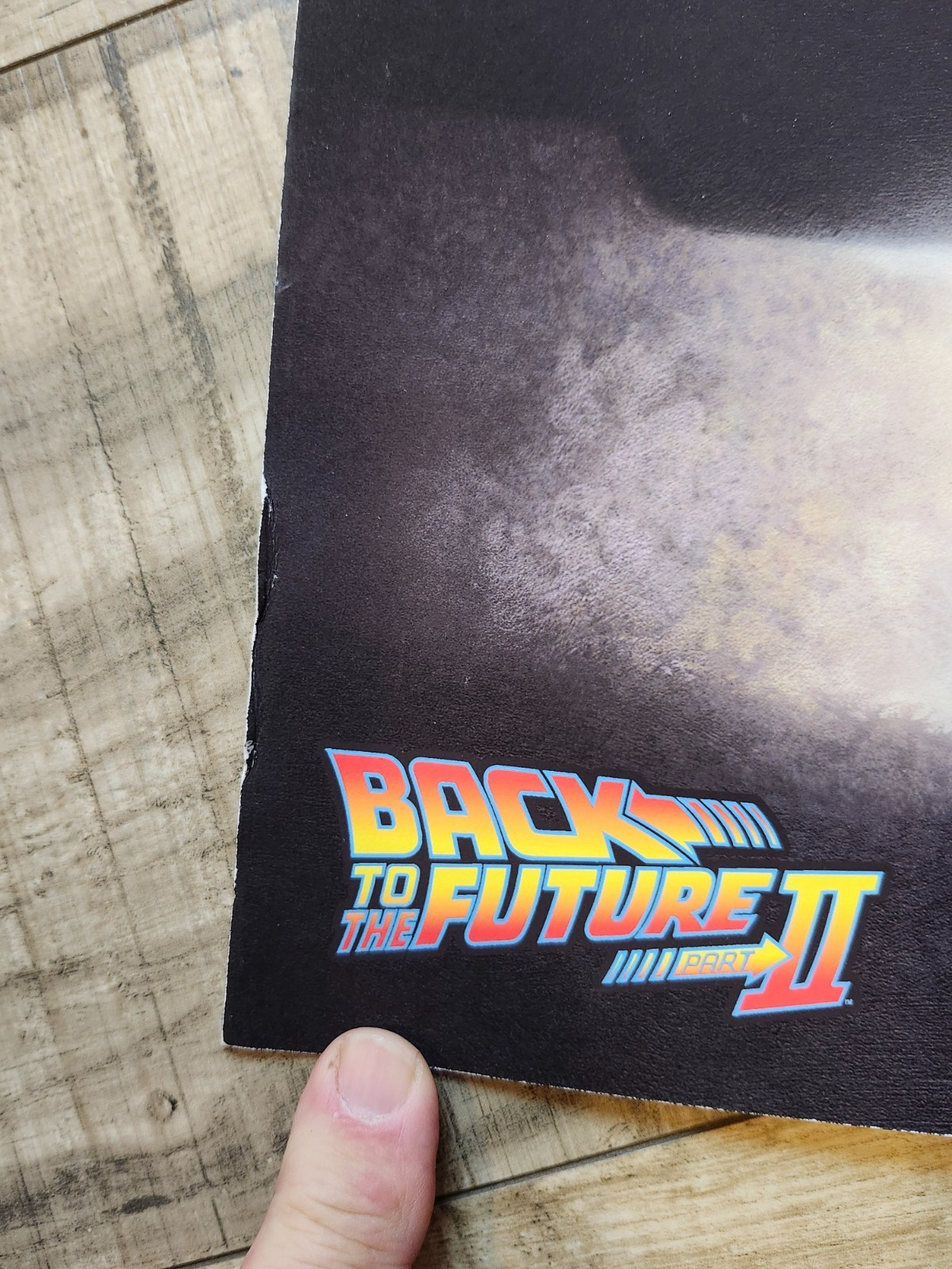RARE: Back To The Future Poster, from Chicago Comicon 2022, No others on EBAY